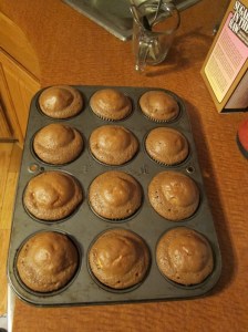 If you do cover the mini cupcakes.