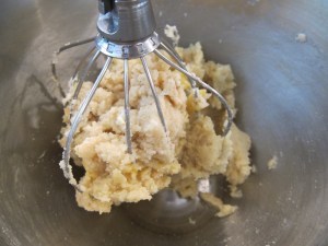 I recommend using the paddle attachment, but my step-mother does not appear to have one for her mixer.