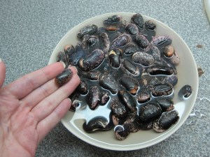 They grow significantly!