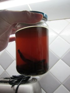 Vanilla extract is something like a euro per teaspoon here, but vanilla beans are dirt cheap, so (after 8+ weeks of waiting) I made my own.