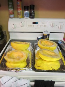 So much too much squash!