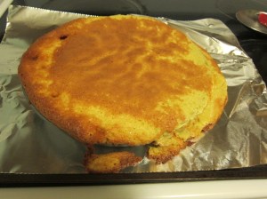 "regular" (too short) cake pan